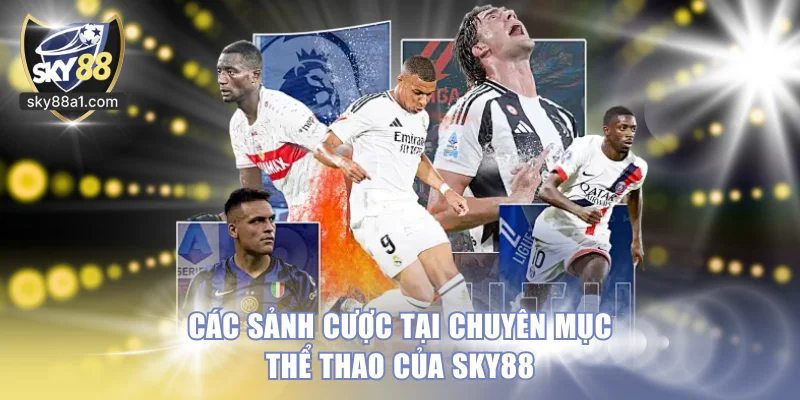 Các sảnh cược tại chuyên mục thể thao của SKY88